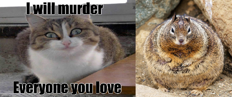 Creepy Cat and Fat Squirrel